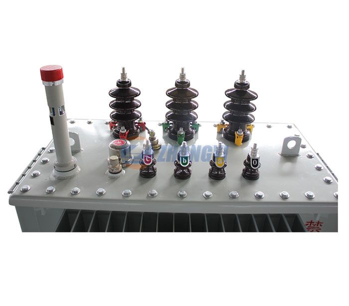 Oil immersed electrical power transformers